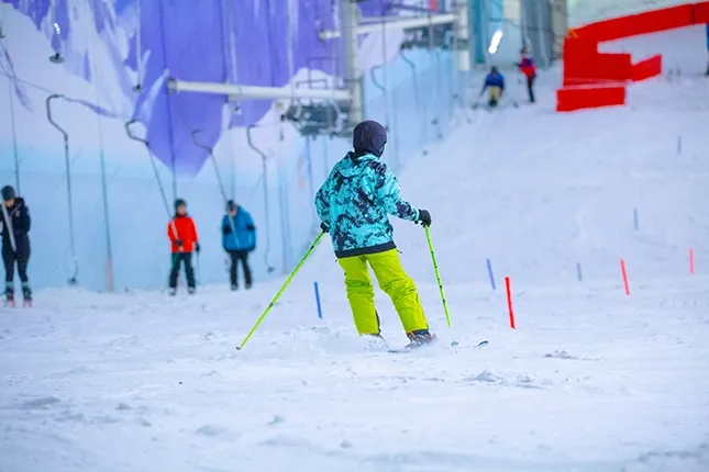 Skier on a snow slope